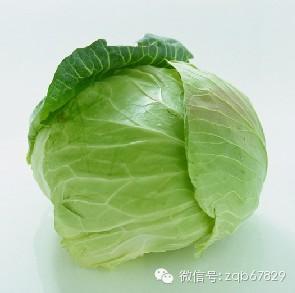 ѧ��Լ���ʳ��ܱ�Ҫ�����˥�ϡ���֢�����ߡ�