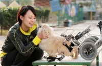 ��ٳ�������з���һ�ַǳ�����ĸо�