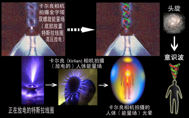 �ų������ɢ����������