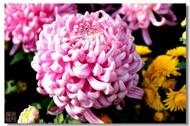 刘余莉教授:如何成为卓越领导--《群书治要》里的领导智慧(下) 刘余莉教授:如何成为卓越领导--《群书治要》里的领导智慧(下)