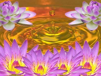 ���ͷ�ʦ��������˳�������_�������ɷ���