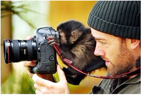 �����֮�顱���ĵ���������Ƭ���治�򵥣�