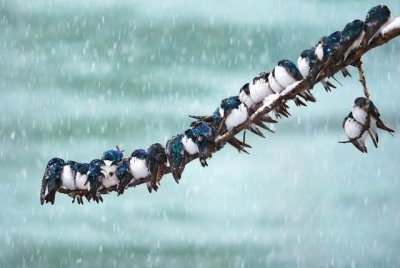 �����֮�顱���ĵ���������Ƭ���治�򵥣�