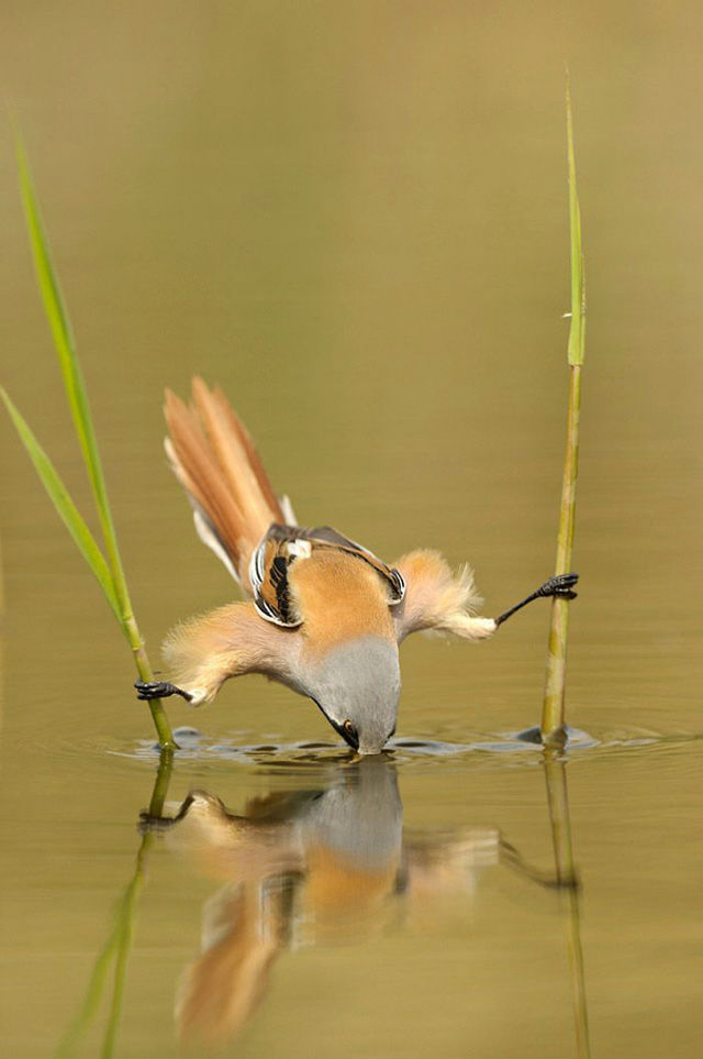 �����֮�顱���ĵ���������Ƭ���治�򵥣�