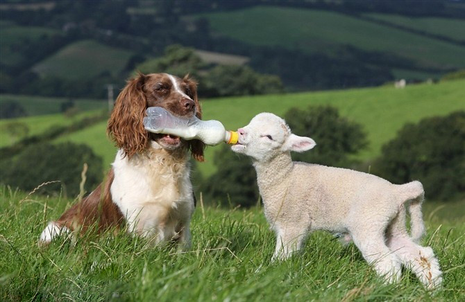 �����֮�顱���ĵ���������Ƭ���治�򵥣�