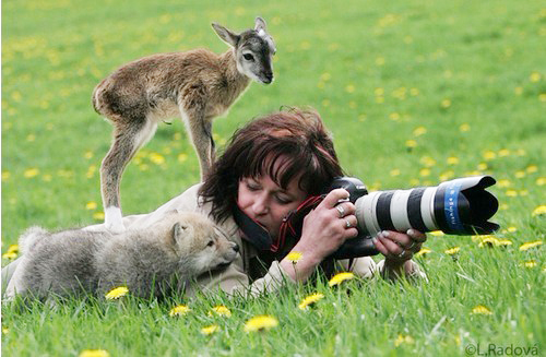 �����֮�顱���ĵ���������Ƭ���治�򵥣�