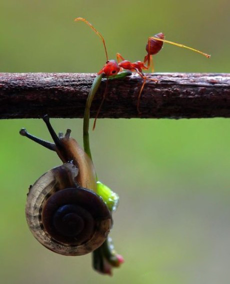 �����֮�顱���ĵ���������Ƭ���治�򵥣�