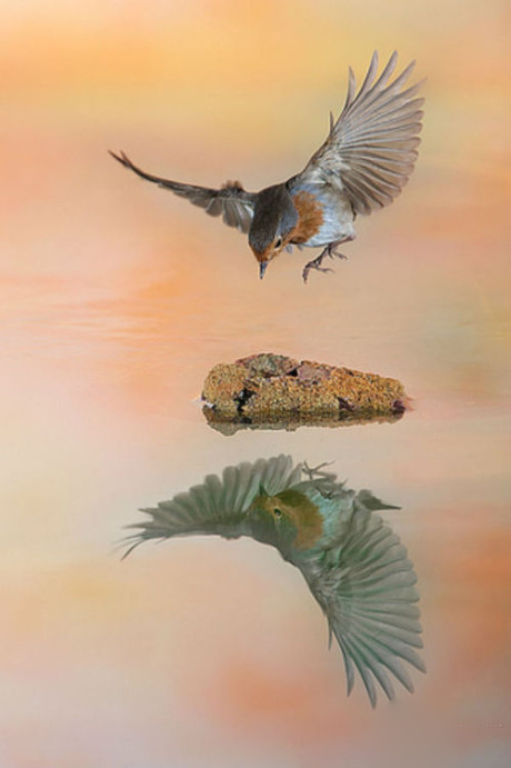 �����֮�顱���ĵ���������Ƭ���治�򵥣�