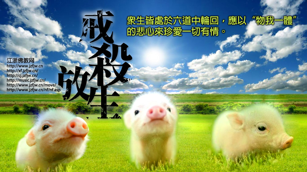 �����֮�顱���ĵ���������Ƭ���治�򵥣�