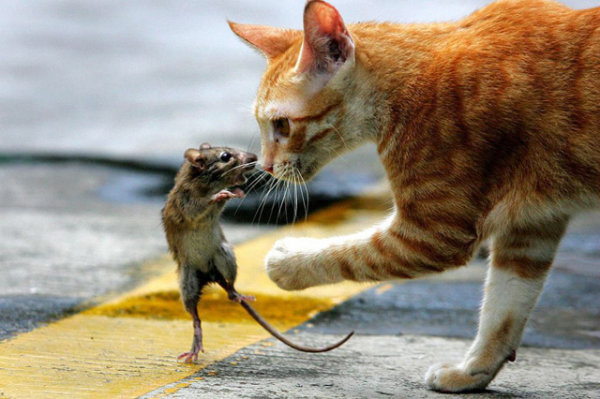 �����֮�顱���ĵ���������Ƭ���治�򵥣�