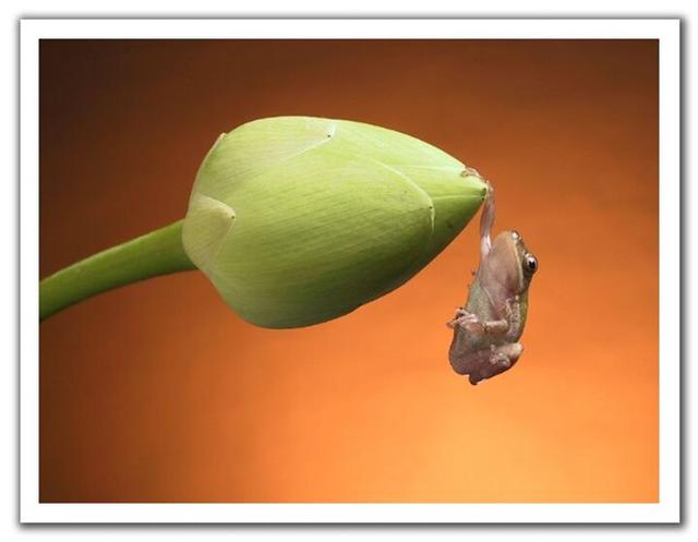 �����֮�顱���ĵ���������Ƭ���治�򵥣�