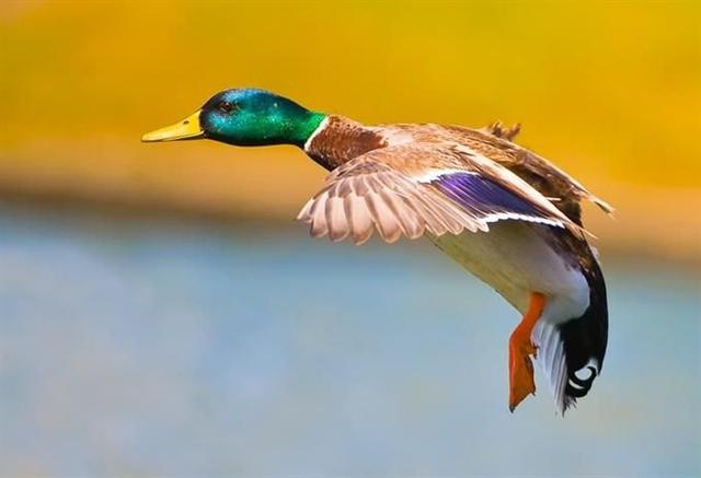 �����֮�顱���ĵ���������Ƭ���治�򵥣�