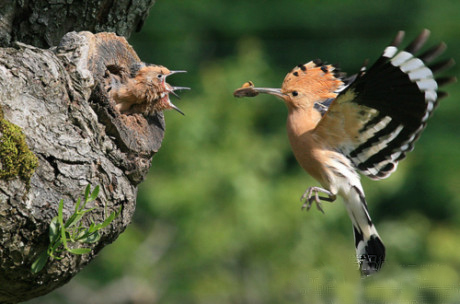 �����֮�顱���ĵ���������Ƭ���治�򵥣�