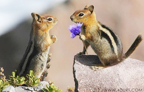 �����֮�顱���ĵ���������Ƭ���治�򵥣�