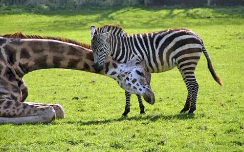 �����֮�顱���ĵ���������Ƭ���治�򵥣�