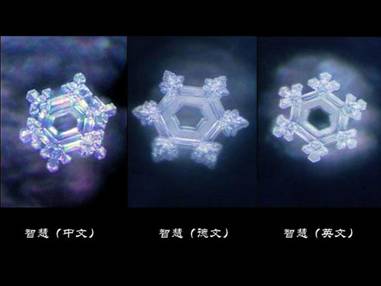 深切悼念水博士江本胜! 深切悼念水博士江本胜!