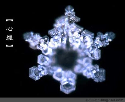 深切悼念水博士江本胜! 深切悼念水博士江本胜!