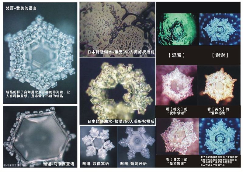 深切悼念水博士江本胜! 深切悼念水博士江本胜!