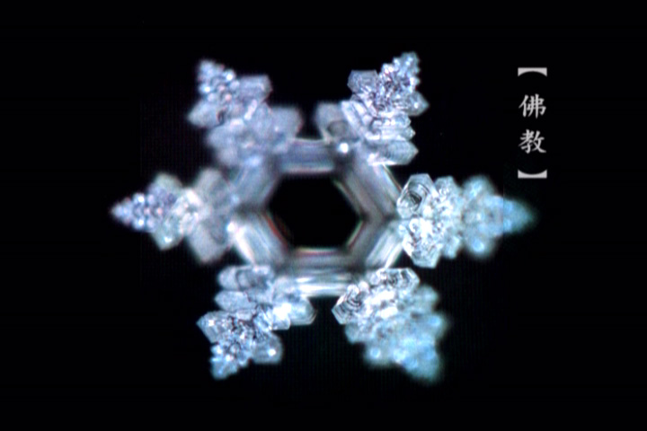 深切悼念水博士江本胜! 深切悼念水博士江本胜!