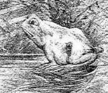 ������Щͼ���֪����λ˼���ж���Ҫ������ͼ��