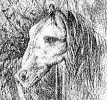 ������Щͼ���֪����λ˼���ж���Ҫ������ͼ��