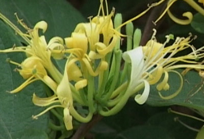 ���ײ�_����һ����һ����ת����Ҫ����~