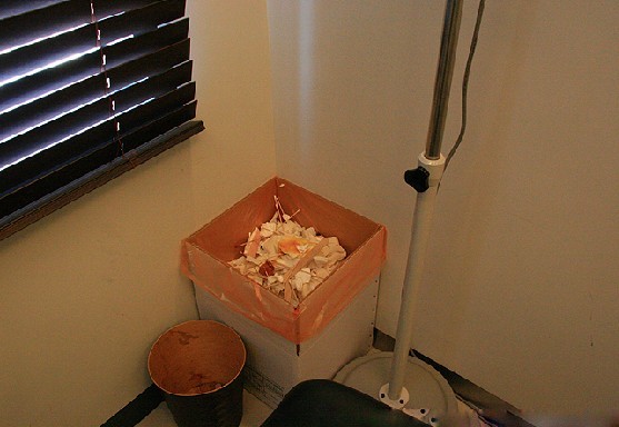 ����Ҳ����ʱ�ģ����������������ˣ�����������������ֲ�����