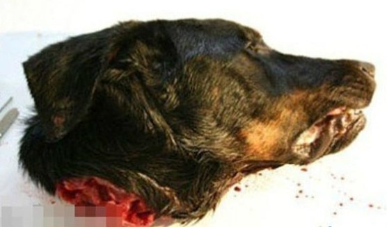 ����Ҳ����ʱ�ģ����������������ˣ�����������������ֲ�����