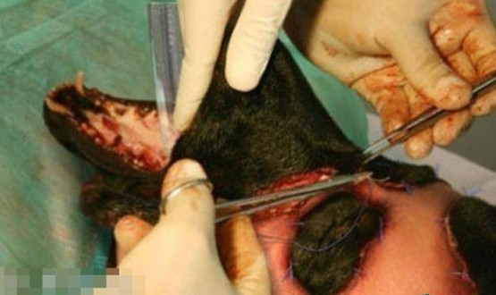 ����Ҳ����ʱ�ģ����������������ˣ�����������������ֲ�����