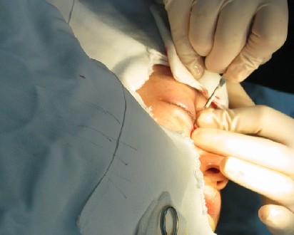 ����Ҳ����ʱ�ģ����������������ˣ�����������������ֲ�����