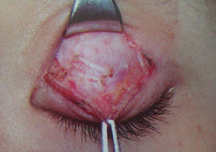 ����Ҳ����ʱ�ģ����������������ˣ�����������������ֲ�����