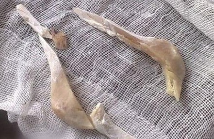 ����Ҳ����ʱ�ģ����������������ˣ�����������������ֲ�����