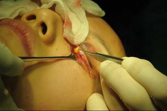 ����Ҳ����ʱ�ģ����������������ˣ�����������������ֲ�����