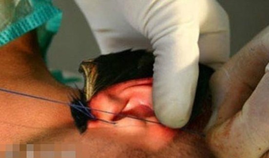 ����Ҳ����ʱ�ģ����������������ˣ�����������������ֲ�����