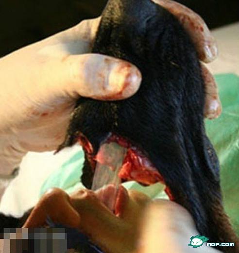 ����Ҳ����ʱ�ģ����������������ˣ�����������������ֲ�����