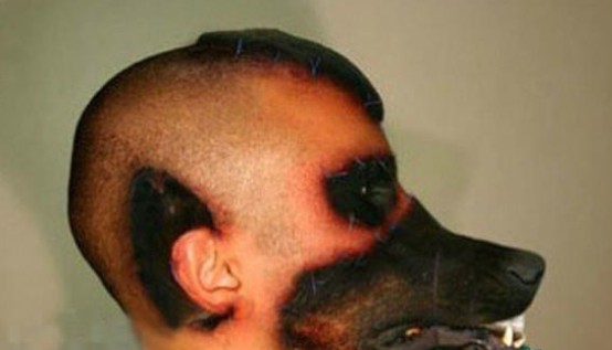 ����Ҳ����ʱ�ģ����������������ˣ�����������������ֲ�����