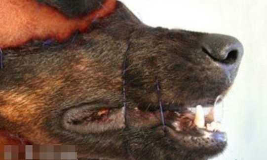 ����Ҳ����ʱ�ģ����������������ˣ�����������������ֲ�����