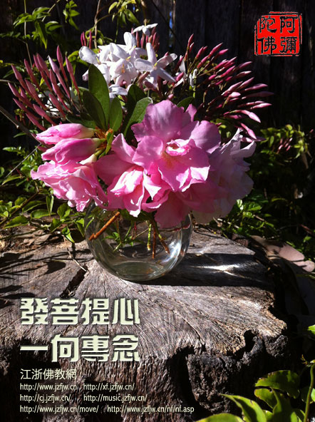 48�仰�����㣬ѧ��Ĺ��̣�����ѧ���˵Ĺ��̣�