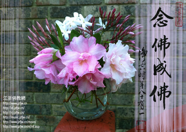 48�仰�����㣬ѧ��Ĺ��̣�����ѧ���˵Ĺ��̣�