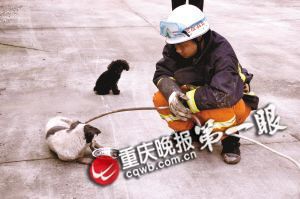 ���˹��������󣬺�˧���Ա߿��������̻��ʡ�