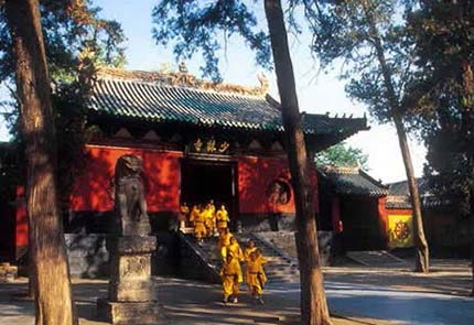 “门票双轨制”猜想_少林寺要禅还是要拳? “门票双轨制”猜想_少林寺要禅还是要拳?