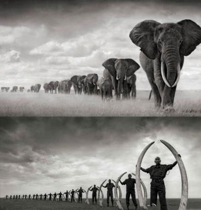 �ܾ�������Ʒ_���������Ѫ��ɱ¾