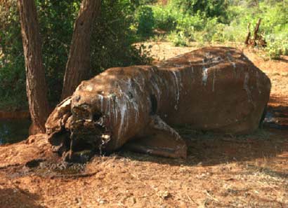 �ܾ�������Ʒ_���������Ѫ��ɱ¾