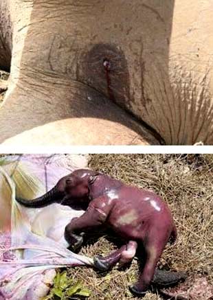 �ܾ�������Ʒ_���������Ѫ��ɱ¾