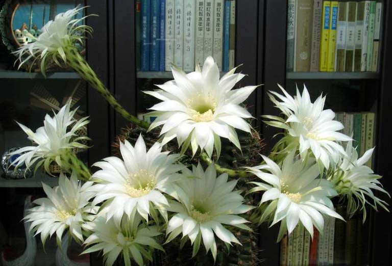 �����ʲô�����������Լ����ӳ��٣�