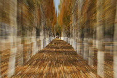 ��˵�˻����ֻ��ʮ�����а���ʱ��