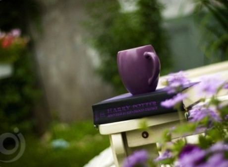 ˯ǰ�����¿�����