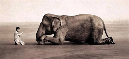 ���붯��֮����ֻذ���