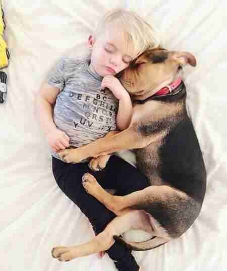 众生皆有灵性---狗是人类的好朋友(图组) 众生皆有灵性---狗是人类的好朋友(图组)