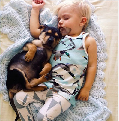 众生皆有灵性---狗是人类的好朋友(图组) 众生皆有灵性---狗是人类的好朋友(图组)